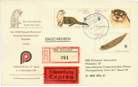 DDR Helsag anbefalet/ekspres