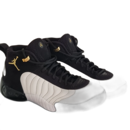 Nike Jordan jumpman pro