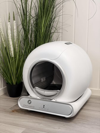 Ontario Automatisk Kattedo