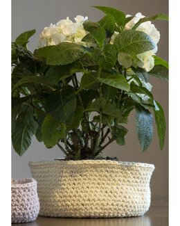 Kurv Solea - Viking of Norway