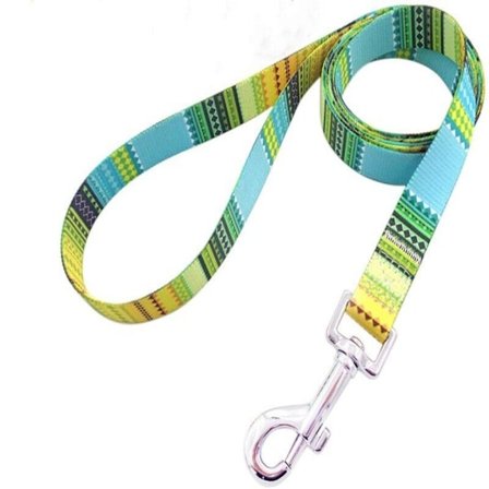 Hundvalpledning Husdjursledning 3 3