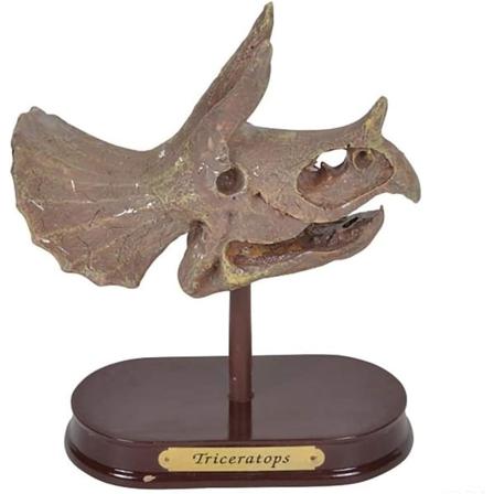 Dinosaurieutgrävningssats För Barn, 5,5 Tum Triceratops Skull E