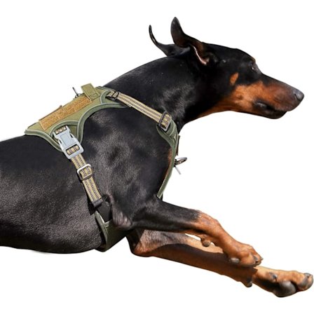 Taktisk Hunde Sele til Store Hunde Ingen Træk, Berømt TIK Tok Ingen Træk Hunde Sele, Fit Smart Reflekterende Kæledyr Gå Sele til Træning, Justerbar Do