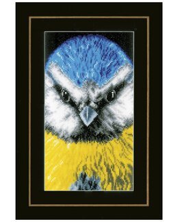 Stickpackung Bild Blaumeise