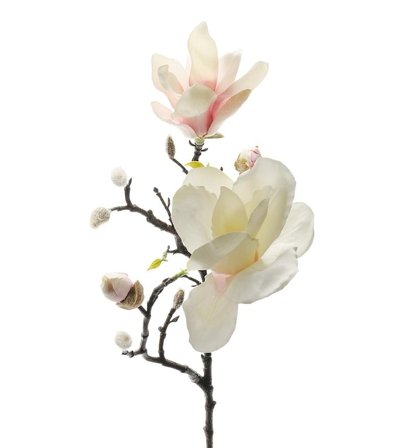Mr Plant Kunstig gren Magnolia H60cm