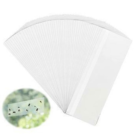 50 Ark Klar Vindusfluefanger Fluepapirtape med Lim 20x7cm
