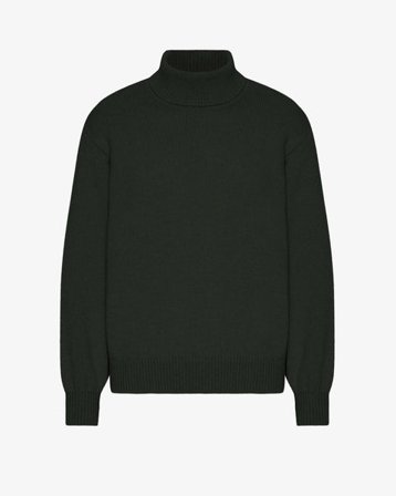 Merino Wool Turtleneck - Hunter Green - Male - M