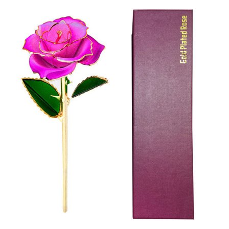 24K Guldpläterad Ros, Torkad Blomma Kit med Presentförpackning och Displayställ, Rosröd