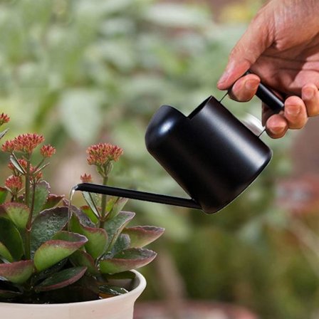 Liten vannkanne 300ml, Rustfritt stål Innendørs plantevanning DXGHC