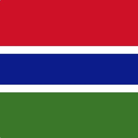 Gambian lippu 100