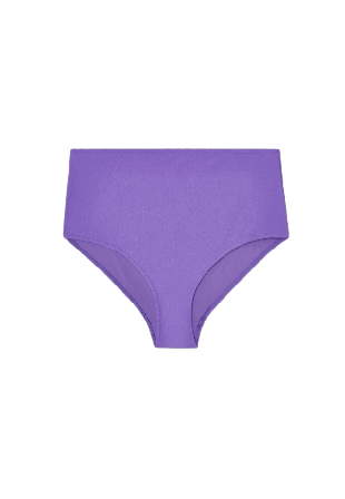Understatement Highwaist Bikini Briefs Dam Lila L