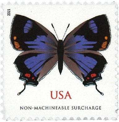 USA - California Hairstreak sommerfugl - Postfrisk frimærke