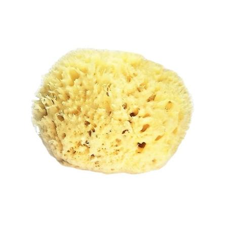Havsvamp 3,0-3,5" (stor) Med Bath & Shower Express Naturlig förnybar resurs!"