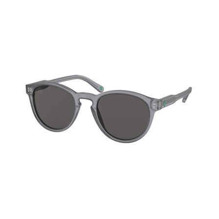 Polo Ralph Lauren -Aurinkolasit - Grey Round - Polo Ralph Lauren PH4172 595387 5021