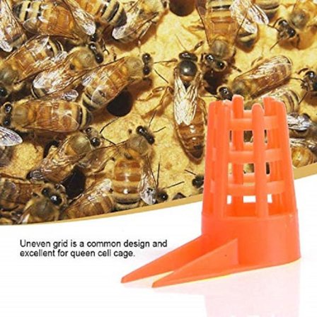 Honey Bee Comb Push-in Queen Cell Protector med tips til biavl (50 stk.)