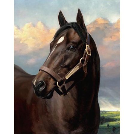 30 x 40 cm, cheval noir Diamond Painting Broderie Diamant Peint