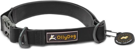 OllyDog Tilden Collar Black