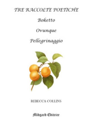 Tre raccolte poetiche Rebecca Collins