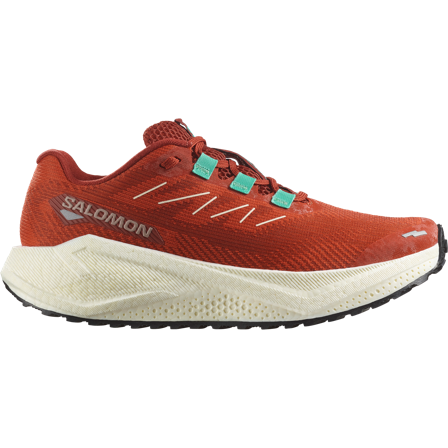 Salomon - Sko for gravelløping Fottøy Aero Blaze 3 Grvl W - Burnt Ochre / Vanilla Ice