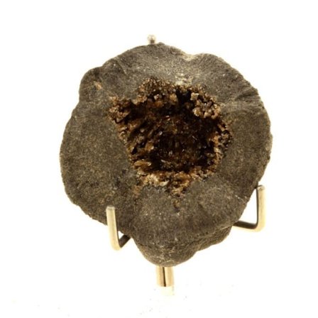 Kivet ja Mineraalit. Septaria, bariitti. 186,0 senttiä. Col de Pré Guittard, Drôme, Ranska.