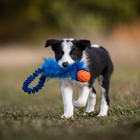 Doggie-Zen Elastisk Hundeleke med Fuskepels og Chuckit Ball - 32cm