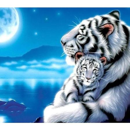 Diamond Painting Fyrkantiga Pärlor 50x50 Cm 5d Diy Vit Tiger Vit