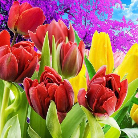 Full 5d Diy Diamond Painting Cross Stitch Red Tulip Mosaic Brode Som På Bilden 1 25x25cm