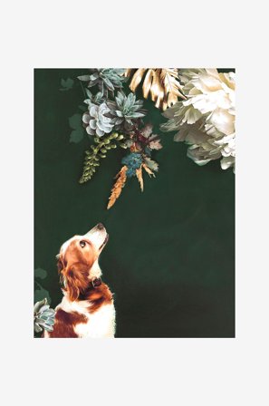 Malerifabrikken - Poster Pet Couture 1 - Flerfarget - Postere - Fra Homeroom