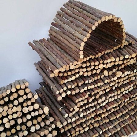 Gnaver Legetøj Træ Kæledyr Hegn Krybdyr Legetøj Skildpadde Hamster Firben H