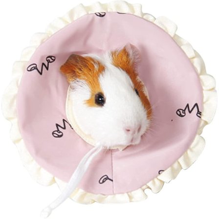 Beskyttende kæledyrs halskrave kat kegle halskrave efter operation justerbar sårheling anti-slik anti-bid blød kæledyr genopretnings krave til små 