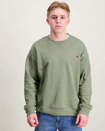 Replay Jumper Grön Tröjor Kille - Kids Brand Store