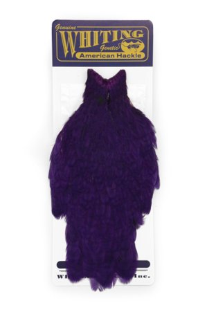 Whiting American Hen Cape White dyed Purple