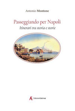 Passeggiando per Napoli. Itinerari tra storia e storie Antonio Montone