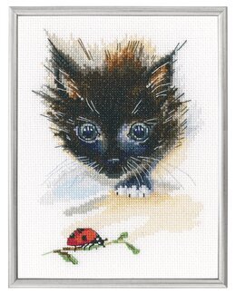 Broderipakke Bilde Nyskjerrig katt - RTO