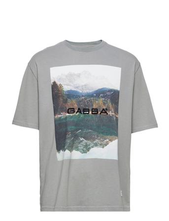 Nigel Boxy Print Ss Tee T-shirts Short-sleeved Grå Gabba