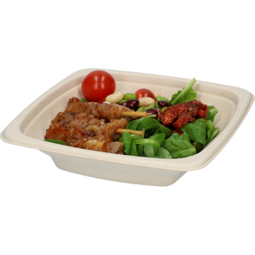 SKÅL BAGASSE 50CL