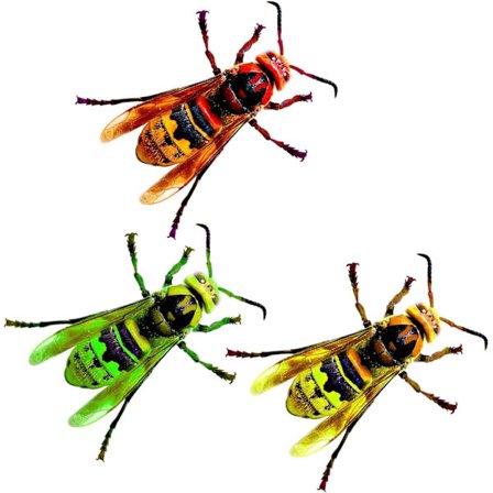 3 stk Insekt Hage Ornament Dekor Fargerik Vegg Tre Gjerde