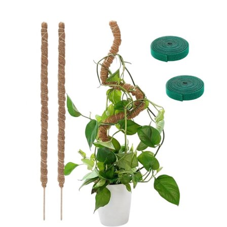 Plantestøtte / støttestang, Bøybar Mosestang 70-100cm – Klatrestøtte 1/2-Pakke, for inneplanter, eføy og monstera