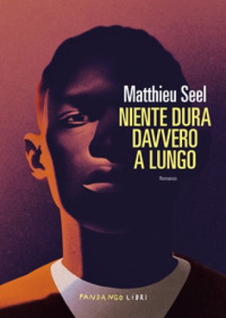 Niente dura davvero a lungo Matthieu Seel