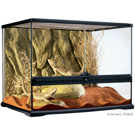 Exoterra - Glassterrarium Naturlig Medium/Bred - 60 x 45 x 45 cm - Reptil - Terrarium - Terrarium- og terrariebakgrunn - ZOO.no