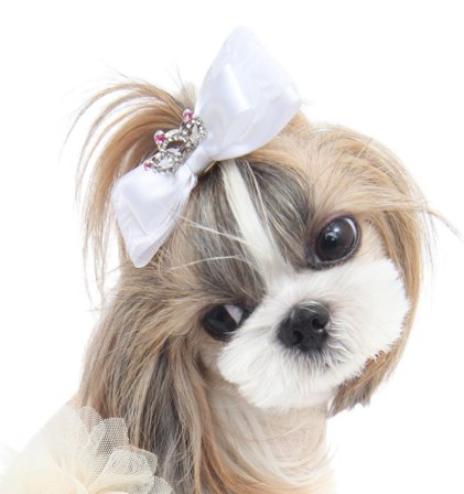 Puppy Angel - My Princess Hair Pin