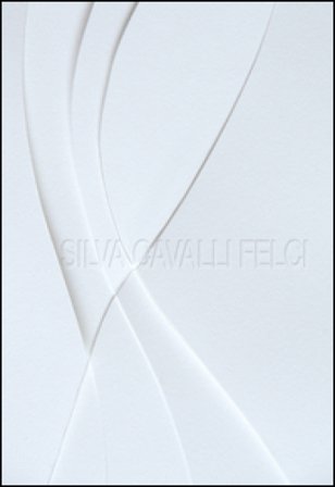 Silva Cavalli Felci. La vita è insufficiente. Ediz. illustrata