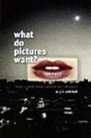 What Do Pictures Want?