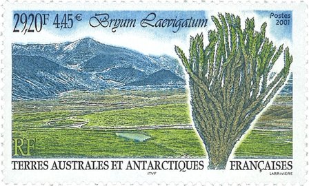 Fransk Antarktis - Mosser - Postfrisk frimærke