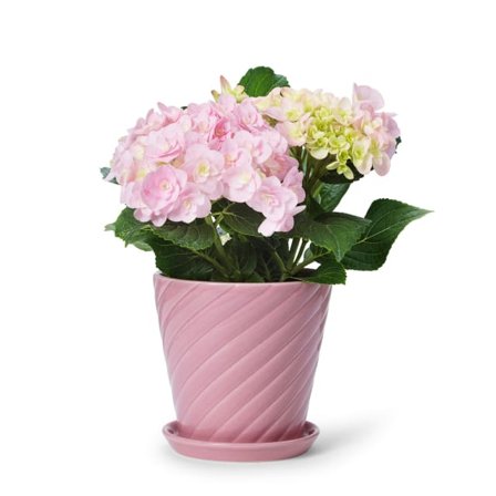 In Flore Sigrid Blomkruka Och Fat Krukor & vaser Rosa