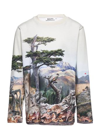 Reif T-shirts Long-sleeved T-shirts Monivärinen/Kuvioitu Molo
