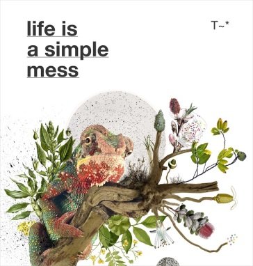 Life is a simple mess TRAVASSOS (ARTWORKS