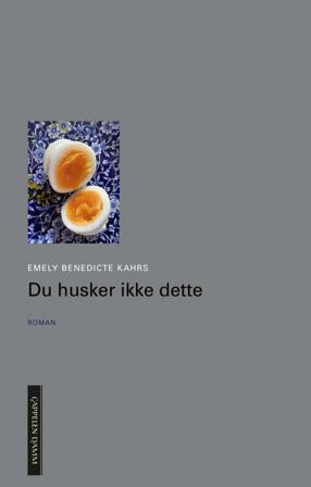 Du husker ikke dette - Bok av Emely Benedicte Kahrs - Hardback