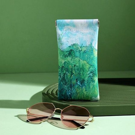 Brillepose Solbrilleboks B B