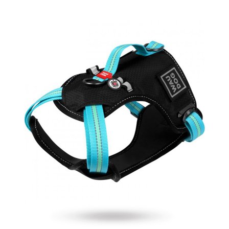 WAUDOG - WAUDOG - Safety Sele - Blå